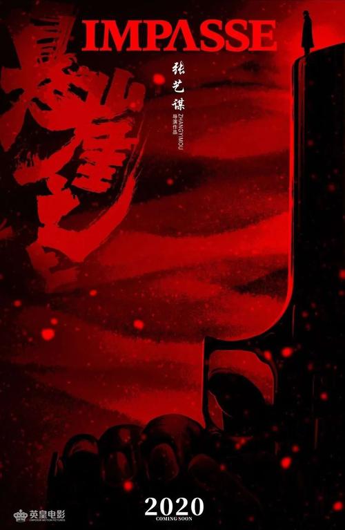 做个荷兰驾照